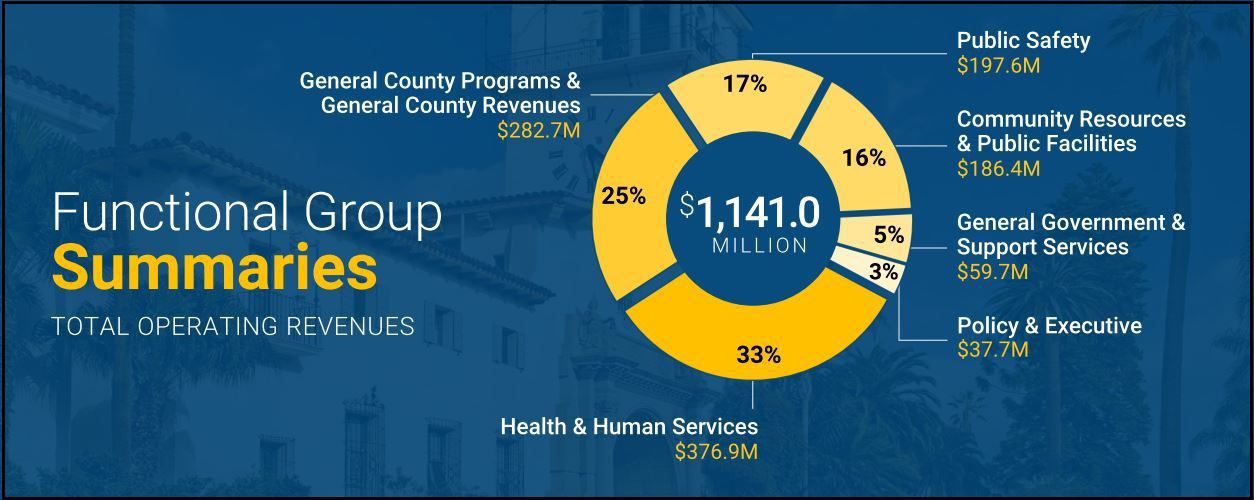Santa Barbara County Functional Group Revenues for 2019-20